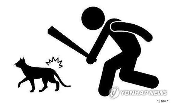 길고양이는 늘었지만 대책과 관련 예산은 부족하다