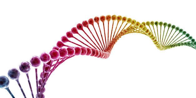 [성소수자에 대한 12가지 질문] 2. 트랜스젠더는 누구인가요? | 젠더의 다양성