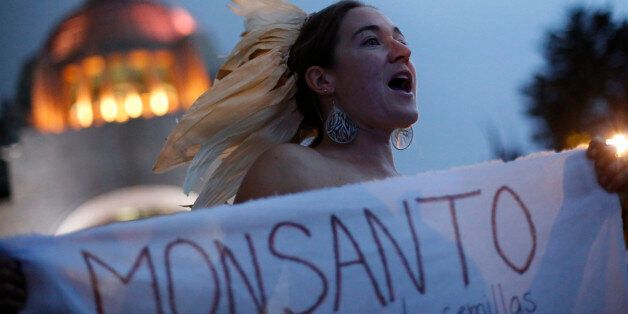 A demonstrator holds a banner protesting against Monsanto Co during an event commemorating