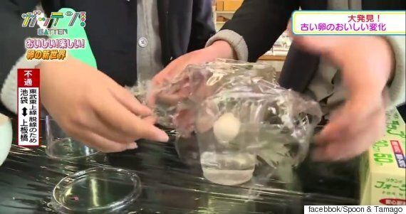달걀 껍질없이 노른자와 흰자만으로 병아리를 부화시켰다(실험영상)