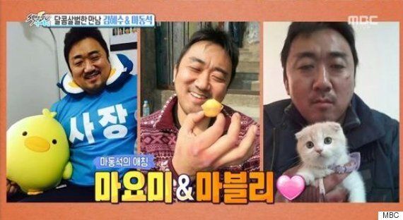 마동석이 숨겨둔 영어 실력을 공개하다 (영상)