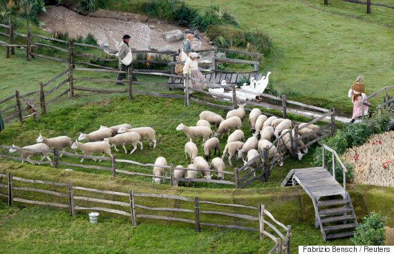 올림픽에서 벌어진 동물들의 잔혹사