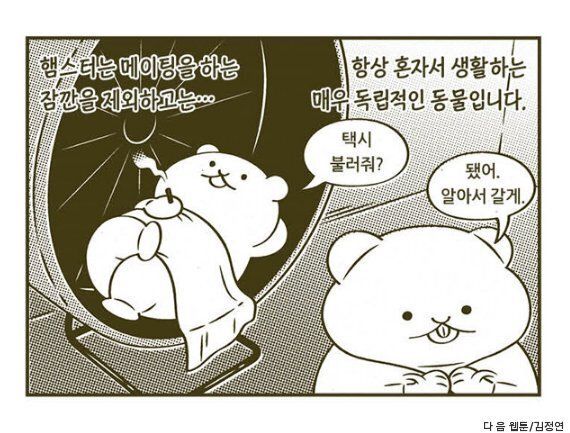 '혼자를 기르는 법'의 작가 김정연 인터뷰, '한국 20대 여성의 서사를 증명하고 싶었어요'