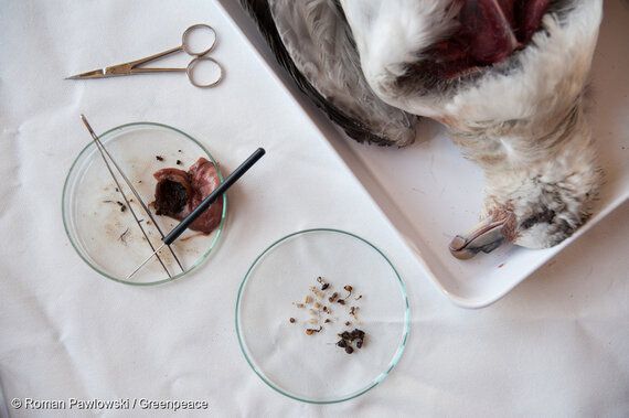 우리가 환경보호에 더 관심을 가져야 하는 이유