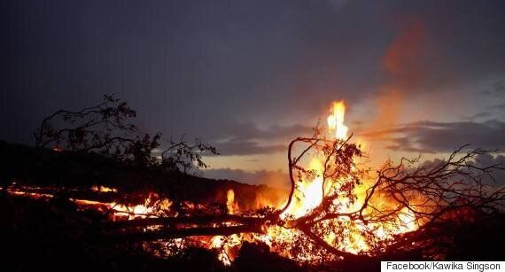 용암이 숲을 뒤덮고 나면 생기는 신비한 구멍의 정체(영상)