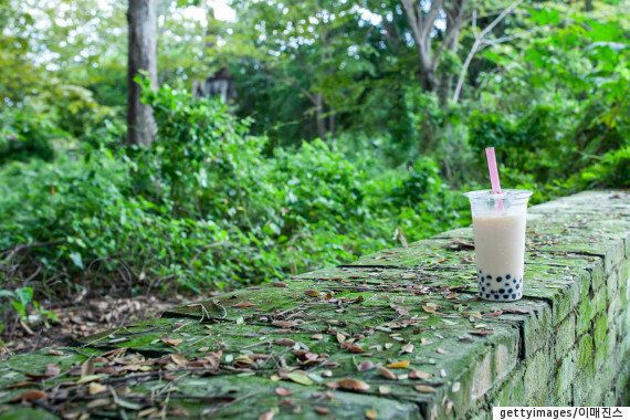 공차를 한번은 마셔본 당신이 잘 몰랐던 6가지