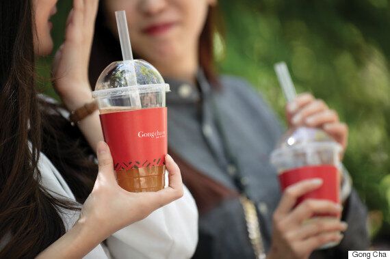 공차를 한번은 마셔본 당신이 잘 몰랐던 6가지