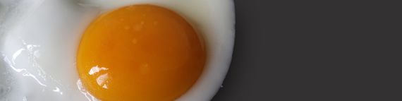 의학적으로 몸에 좋은 여름 보양식