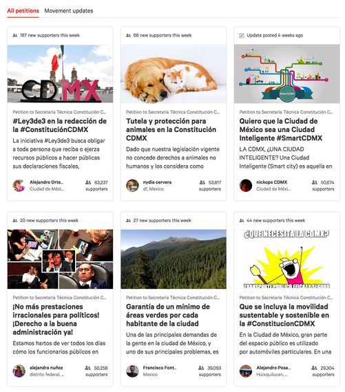 '길냥이'를 위한 헌법