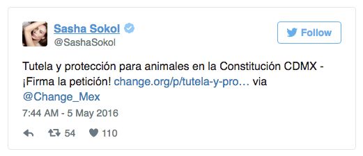 '길냥이'를 위한 헌법