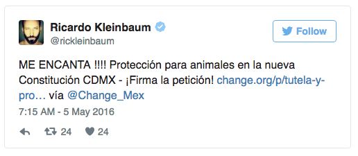 '길냥이'를 위한 헌법