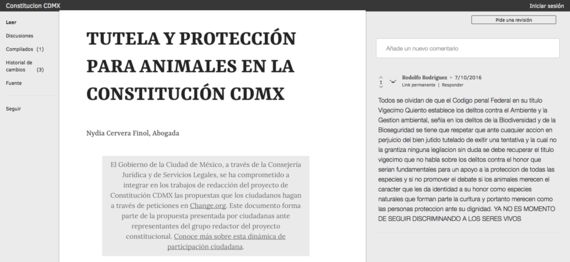 '길냥이'를 위한 헌법