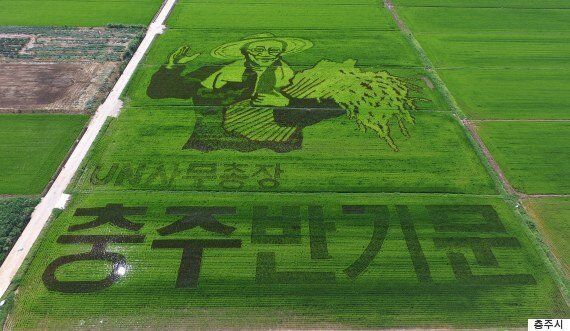 워싱턴포스트 기자는 '반기문의 고향' 충북 음성에 다녀온 소감을 이렇게 전했다