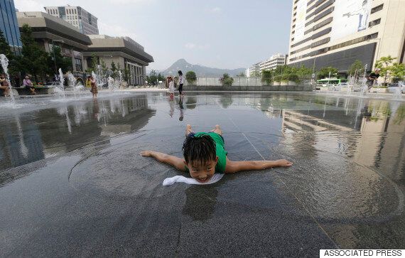폭염이 곧 꺾인다는 '기상청 희망고문'에 대한 인터넷 댓글들은 이렇다