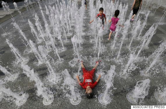 폭염이 곧 꺾인다는 '기상청 희망고문'에 대한 인터넷 댓글들은 이렇다