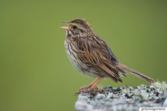 임진왜란을 일으킨 도요토미 히데요시에 관한 사실 3가지