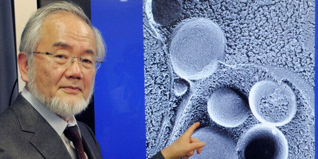 Yoshinori Ohsumi, a professor of Tokyo Institute of Technology is pictured in Tokyo, Japan, March 25, 2015 in this photo released by Kyodo. To go with NOBEL-PRIZE/MEDICINE   Mandatory credit Kyodo/via REUTERS ATTENTION EDITORS - THIS IMAGE WAS PROVIDED BY A THIRD PARTY. EDITORIAL USE ONLY. MANDATORY CREDIT. JAPAN OUT. NO COMMERCIAL OR EDITORIAL SALES IN JAPAN.
