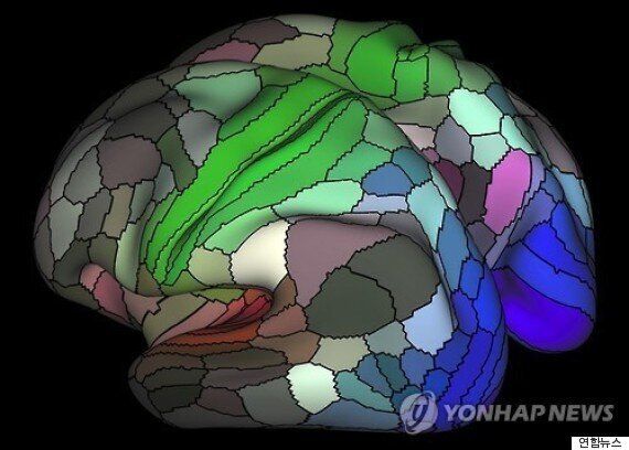 적게 먹는 사람의 뇌가 더 건강한 이유가 밝혀졌다