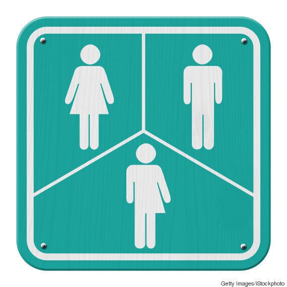 이 나라에 입국할 때는 '제3의 성'이라고 표기해도 된다