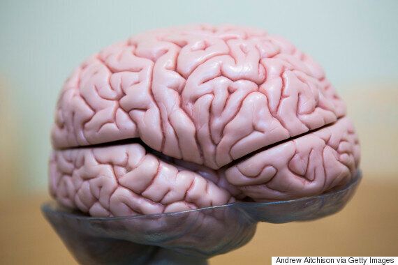 건강한 몸과 정신을 위해 끊임없이 배워야 하는 이유