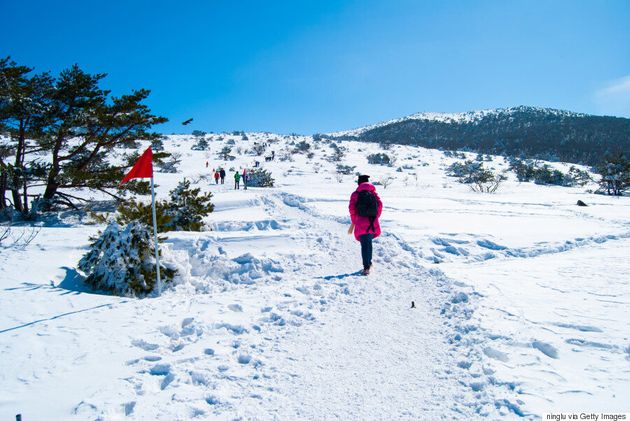 겨울에 제주도에 가면 이 7곳에 가야 한다