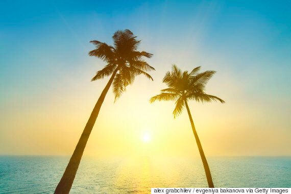 더 행복하고 차분한 사람이 되는 쉬운 방법 17가지