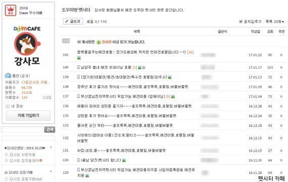 설 연휴, 반려동물이 걱정되는 반려인들은 필독!