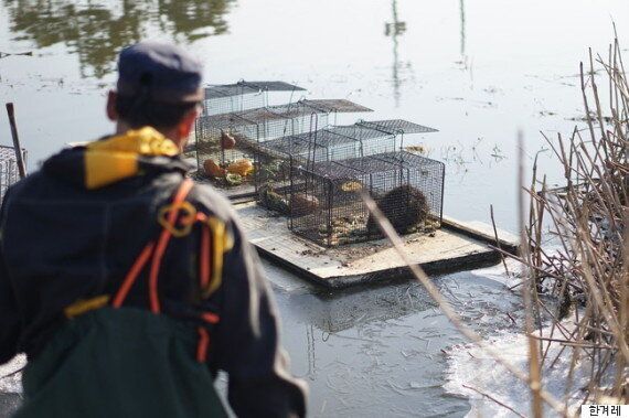 사상 최대 위기를 맞은 '웅담' 뉴트리아 만났다
