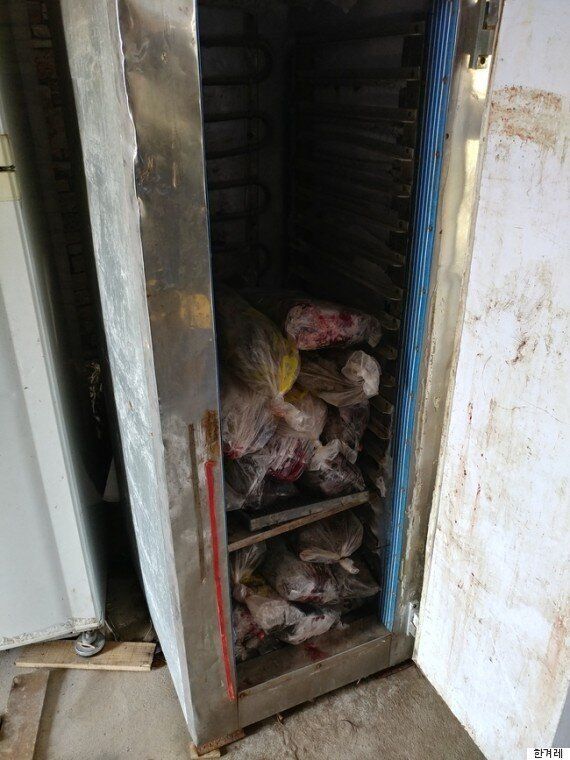 사상 최대 위기를 맞은 '웅담' 뉴트리아 만났다