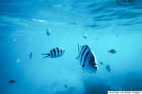 관찰력을 키우면 세상을 바꿀 수 있다