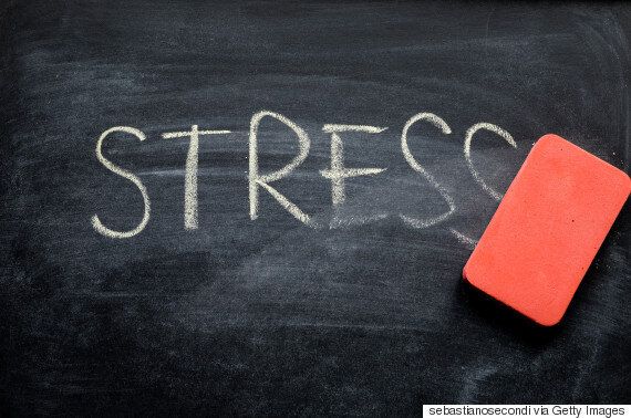 스트레스를 없애주는 3가지 음식