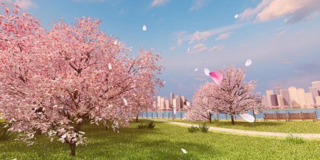 내 생애 최고의 벚꽃 피크닉을 즐기는 5가지 방법