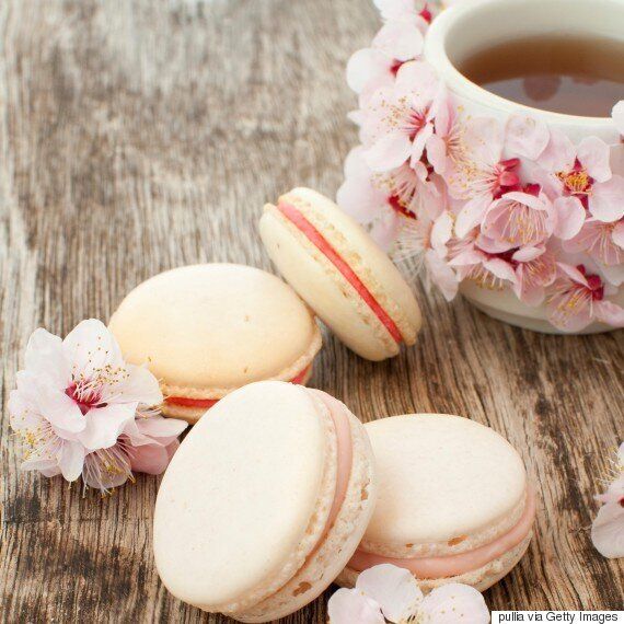 내 생애 최고의 벚꽃 피크닉을 즐기는 5가지 방법