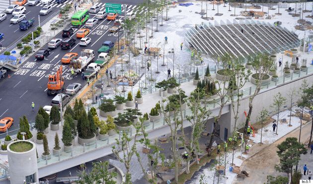 서울로7017: '살아있는 식물도감'이 1024m 펼쳐졌다