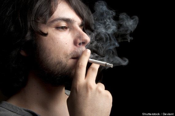 대마초(마리화나)에 관한 8가지 오해들을 깨어보자