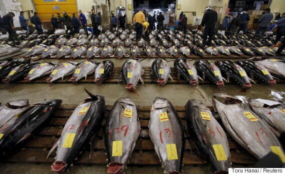 도쿄 쓰키지 시장이 역사 속으로 사라진다