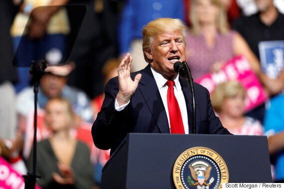 도널드 트럼프가 '멕시코 장벽'에 '태양광 패널'을 넣겠다고 한다