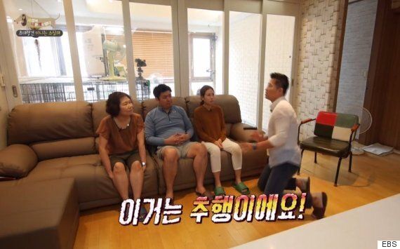 강아지 만져봐도 돼요? 다짜고짜 만지면 안 되는 이유(영상)