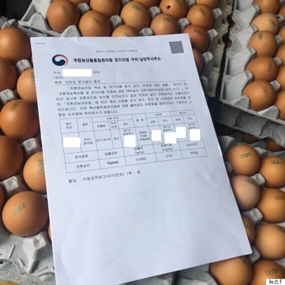 '살충제 계란' 파동에 대한 Q&A 6가지'살충제 계란' 파동에 대한 6가지 이야기