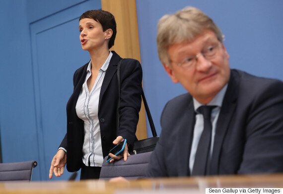 극우 '독일을 위한 대안(AfD)'을 이끌어 온 당대표가 '노선 갈등' 끝에 돌연 사퇴했다