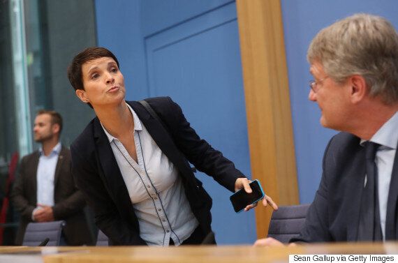 극우 '독일을 위한 대안(AfD)'을 이끌어 온 당대표가 '노선 갈등' 끝에 돌연 사퇴했다