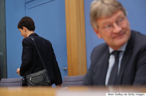 극우 '독일을 위한 대안(AfD)'을 이끌어 온 당대표가 '노선 갈등' 끝에 돌연 사퇴했다
