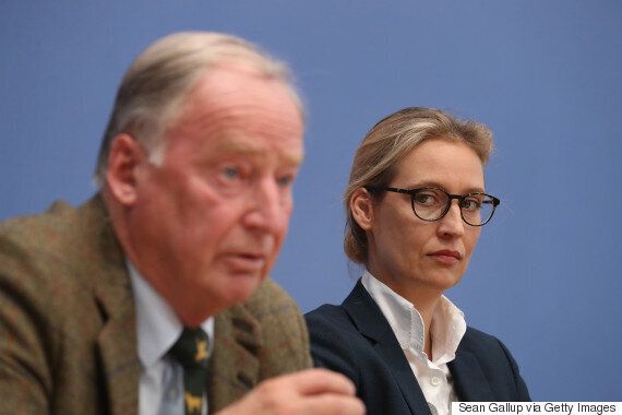 극우 '독일을 위한 대안(AfD)'을 이끌어 온 당대표가 '노선 갈등' 끝에 돌연 사퇴했다