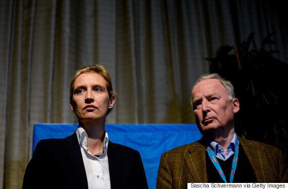 극우 '독일을 위한 대안(AfD)'을 이끌어 온 당대표가 '노선 갈등' 끝에 돌연 사퇴했다
