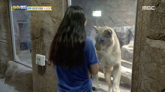 재규어 '백일잔치' 과연 축하할 일인가