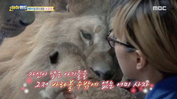 재규어 '백일잔치' 과연 축하할 일인가