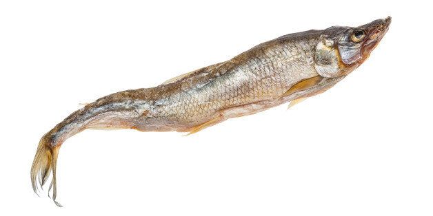 Dried smelt candle fish fish isolated on white background.