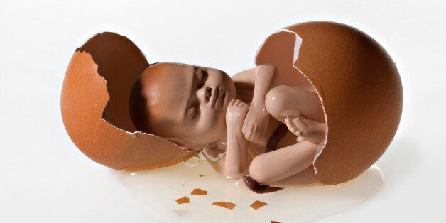 Broken egg with a human fetus inside