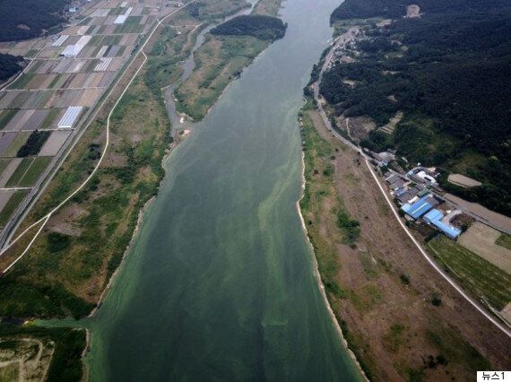 4대강 사업이 세계 10대 애물단지로 꼽혔다