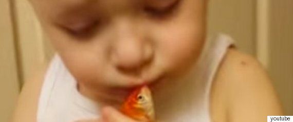 사랑하는 물고기를 위해 장례식을 열었다(사진)